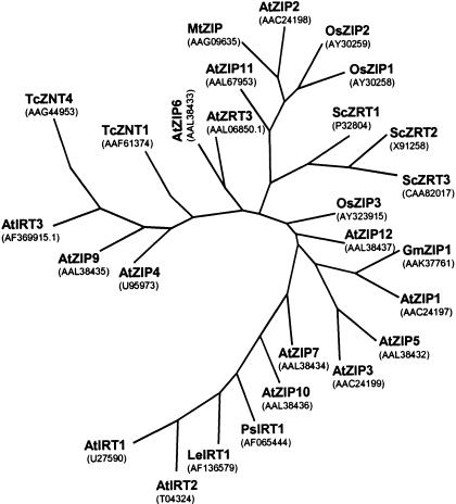 Figure 1.