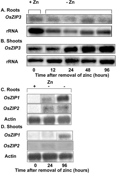 Figure 7.