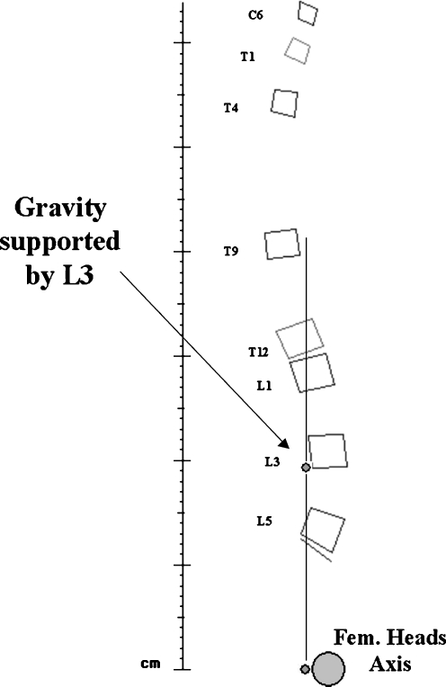 Fig. 4