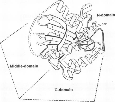 graphic file with name pnas00275-0070-a.jpg