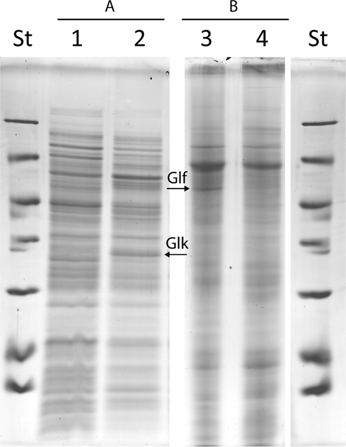 FIG. 4.