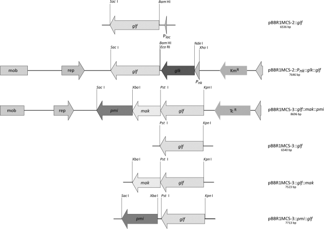 FIG. 2.