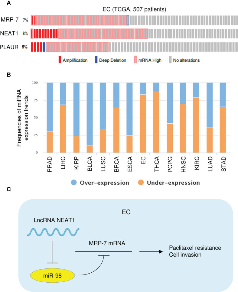 Figure 11