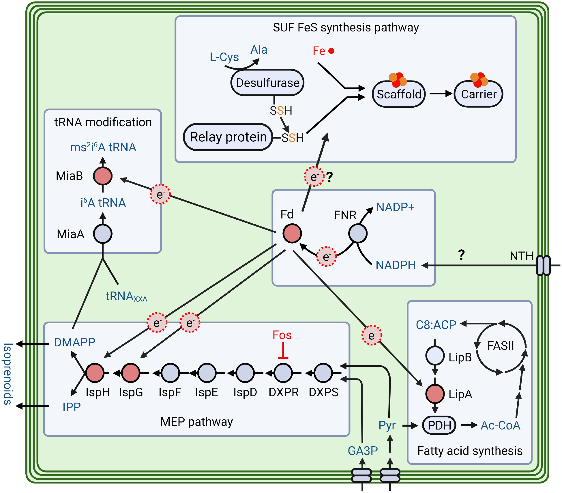 Figure 1, Key Figure.