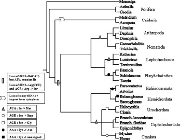 Fig. 4.