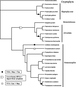 Fig. 3.