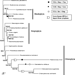 Fig. 2.