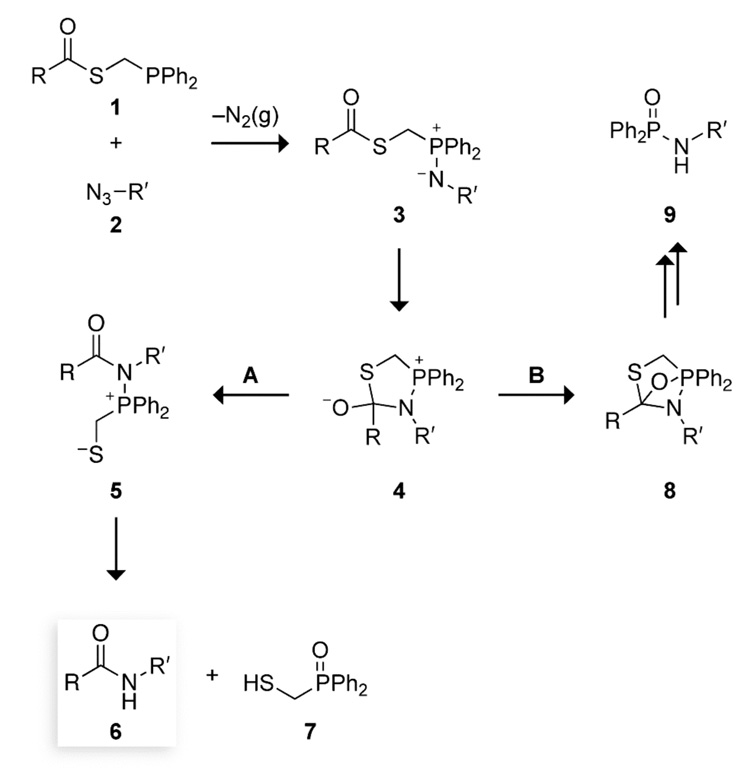 SCHEME 1