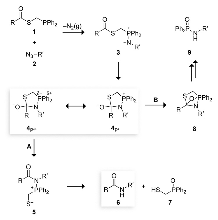 SCHEME 4