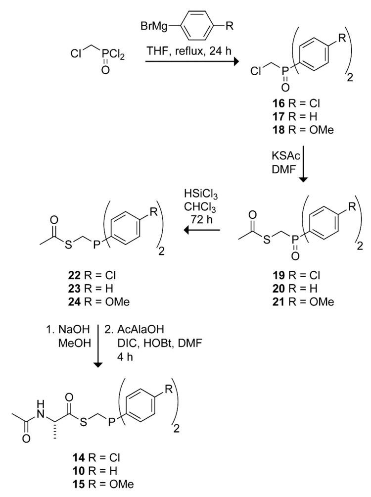 SCHEME 3