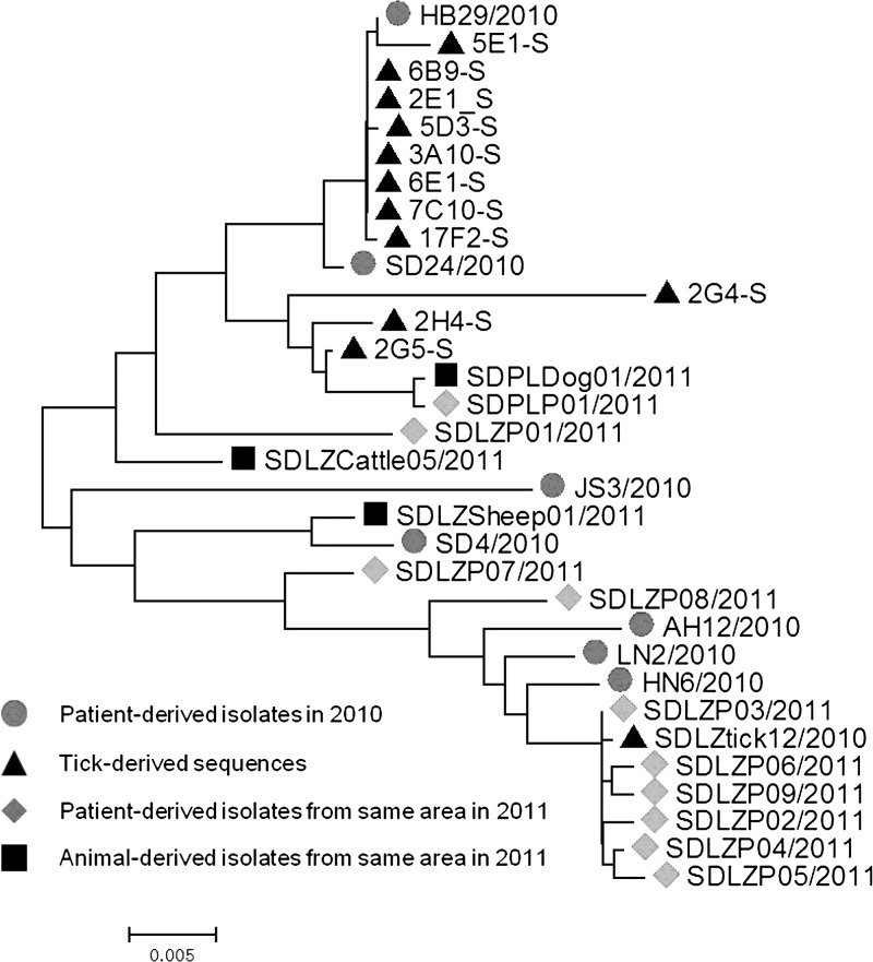 Figure 3.