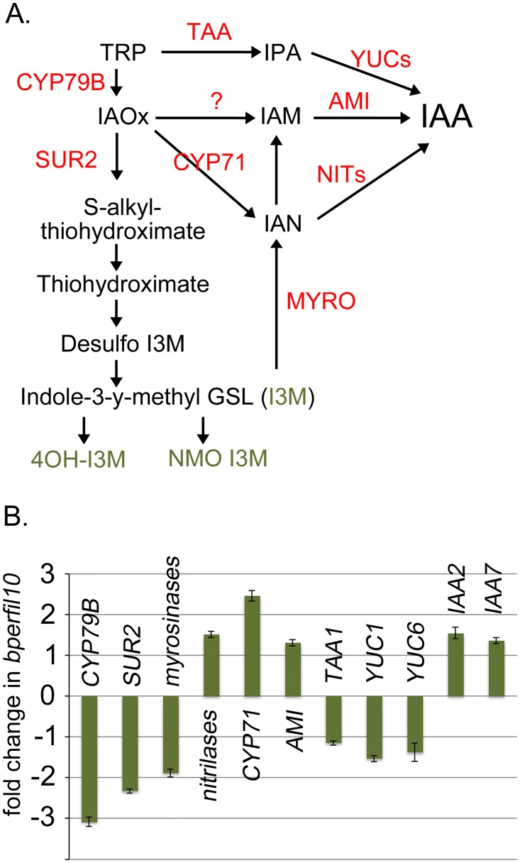 Fig 8