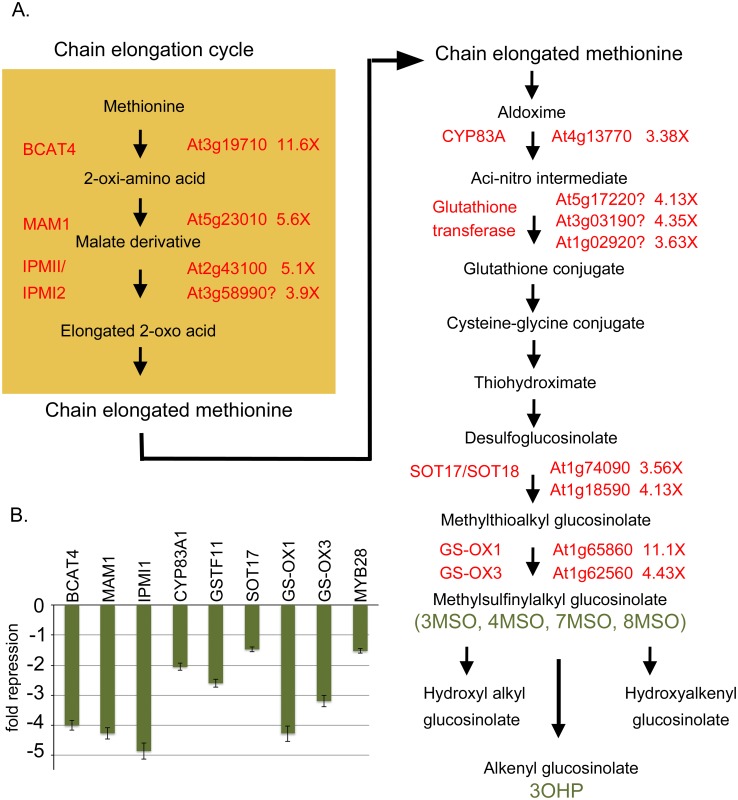 Fig 6