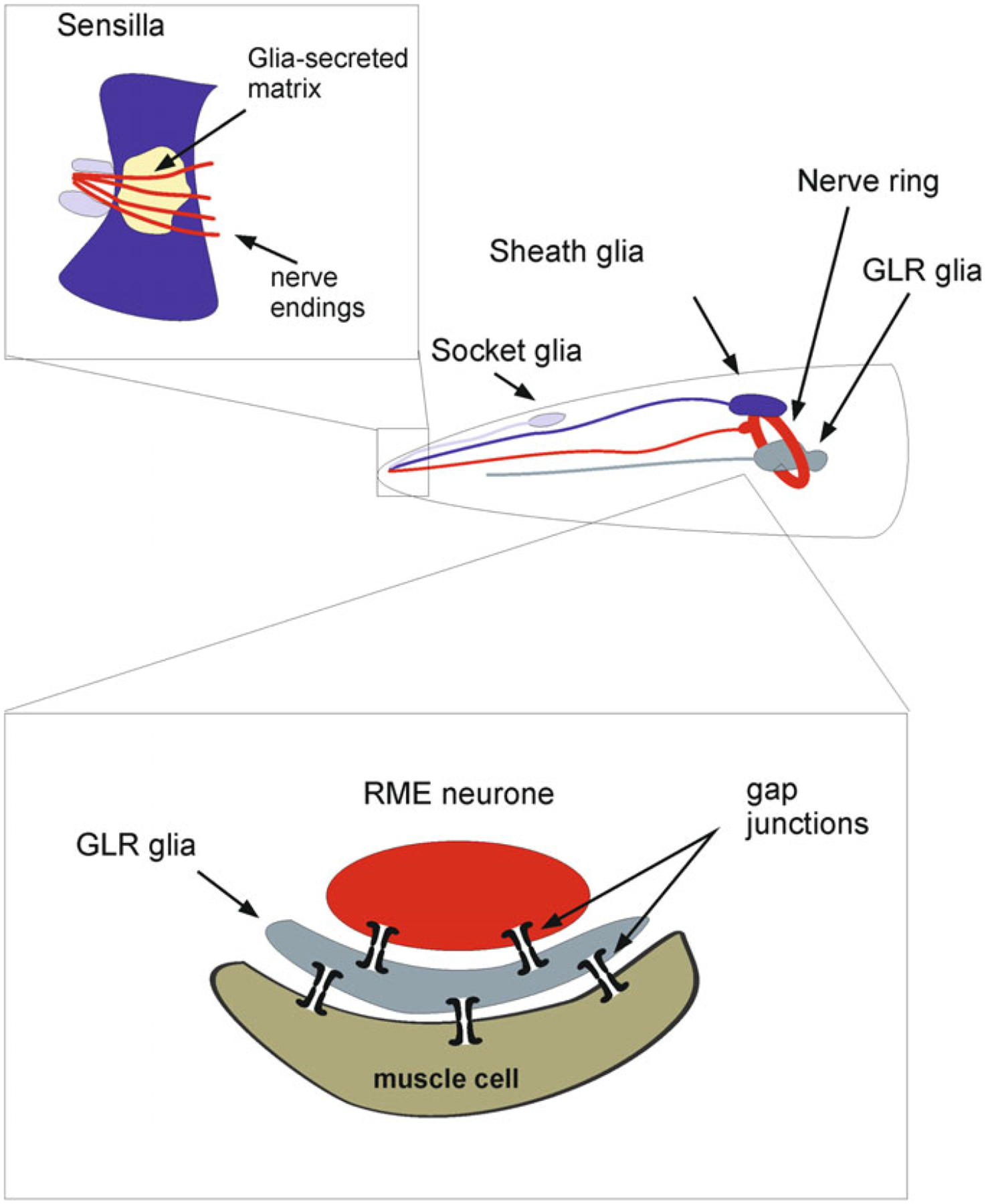 Fig. 2.2