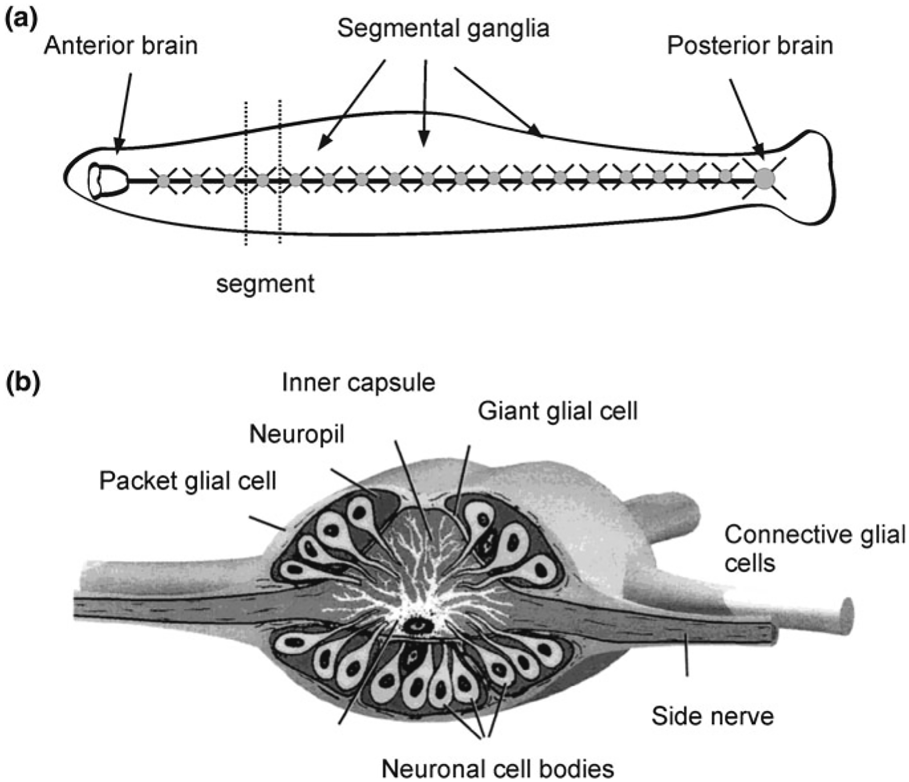 Fig. 2.5