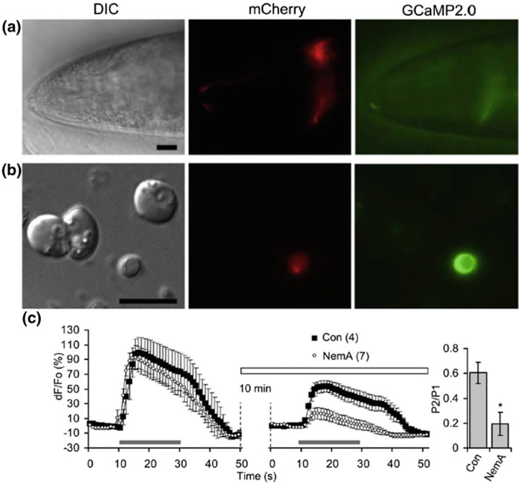 Fig. 2.4