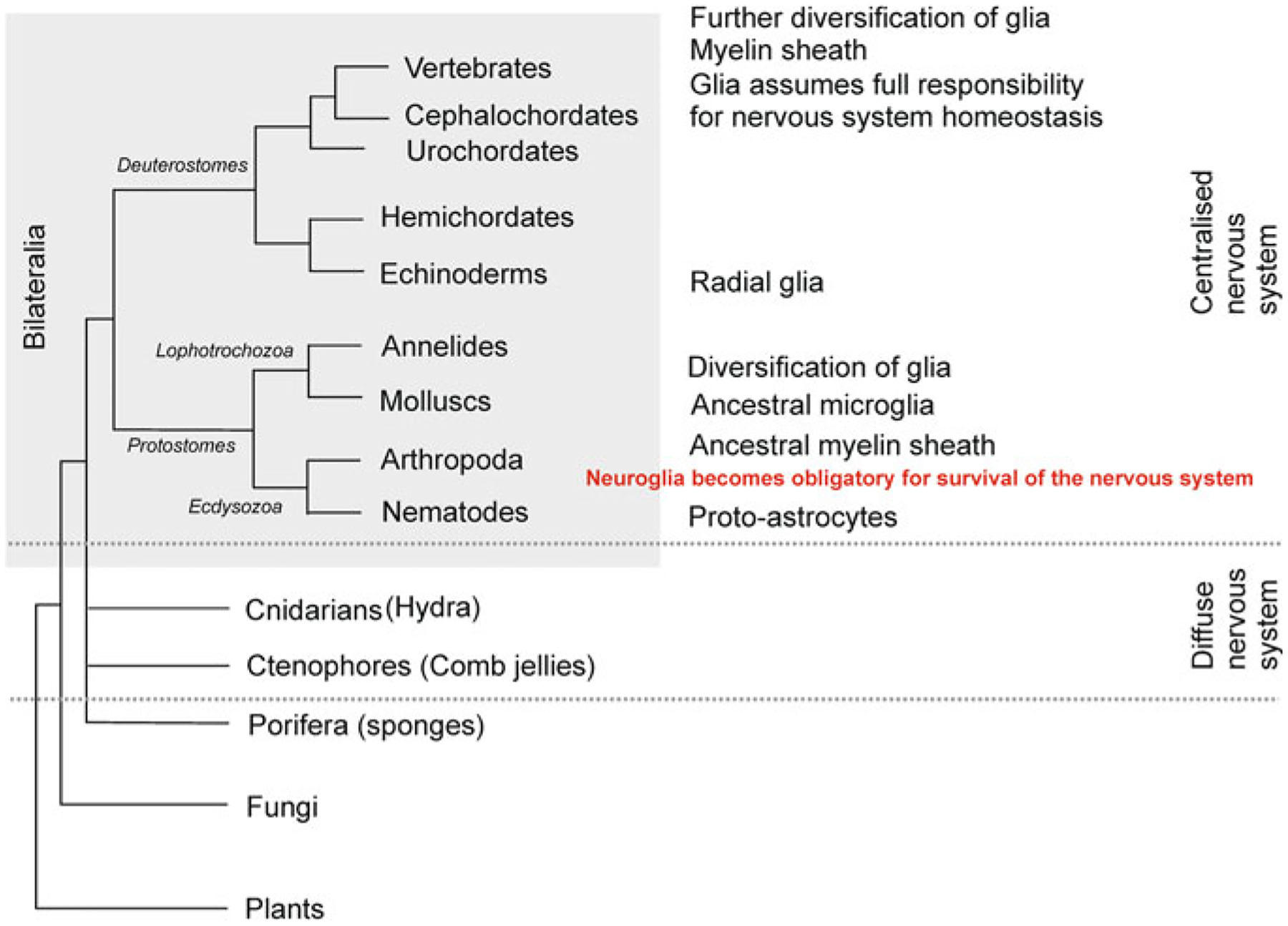Fig. 2.1