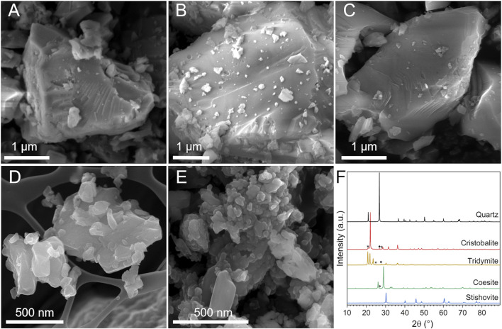 FIGURE 1