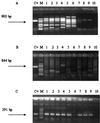 FIG. 3