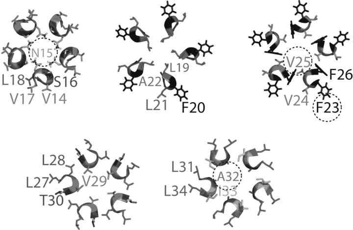 Figure 2.