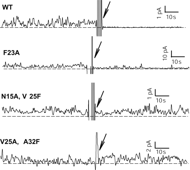 Figure 6.