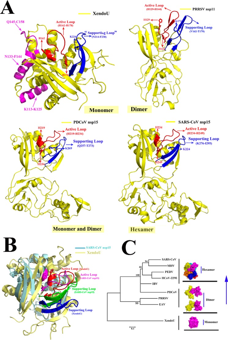 Figure 7.