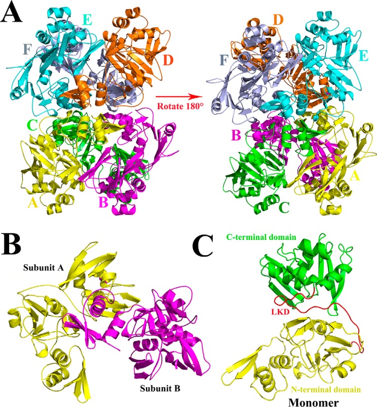 Figure 1.