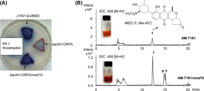 Fig. 2