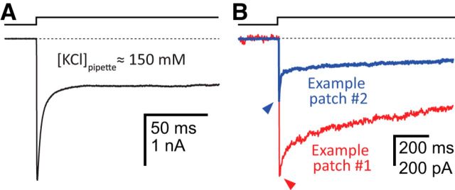 Figure 11.