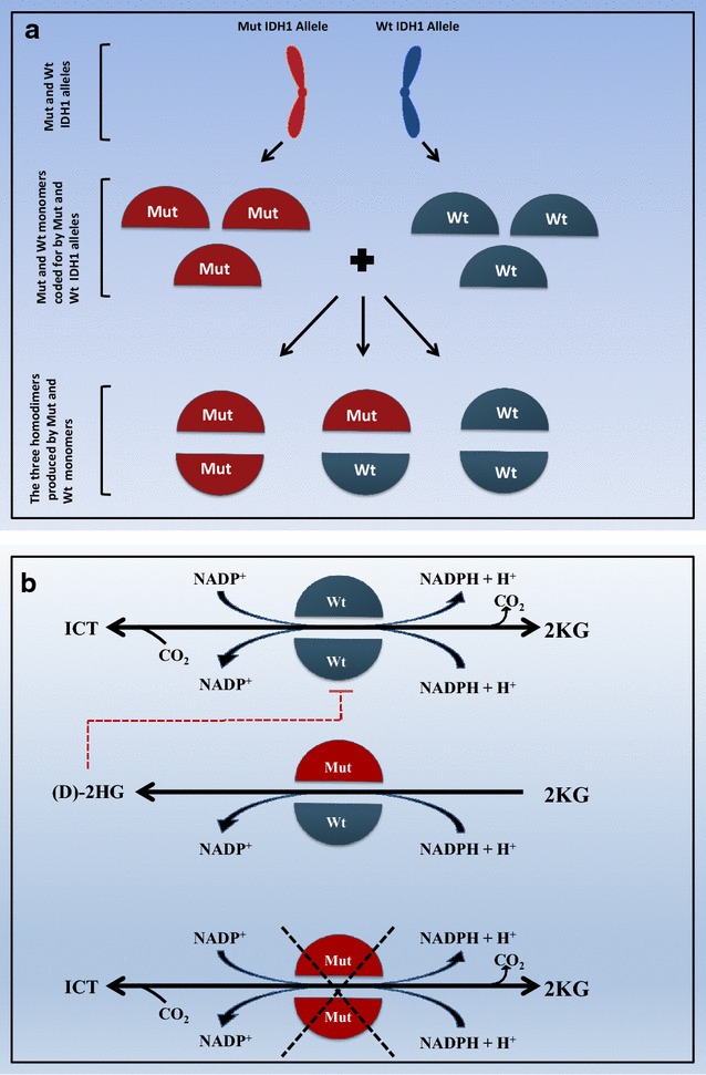 Fig. 2