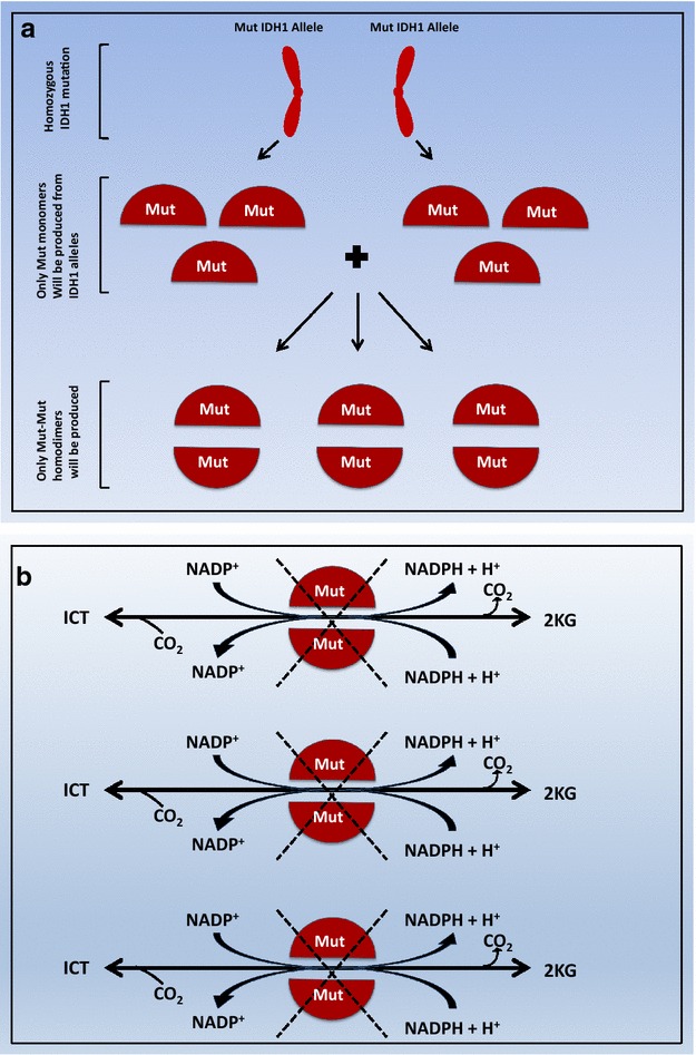 Fig. 3