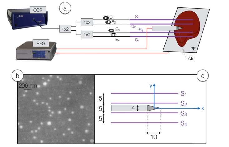 Fig. 1