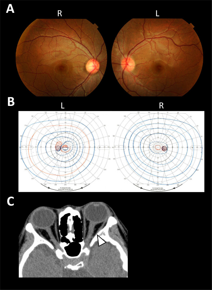 Figure 1.