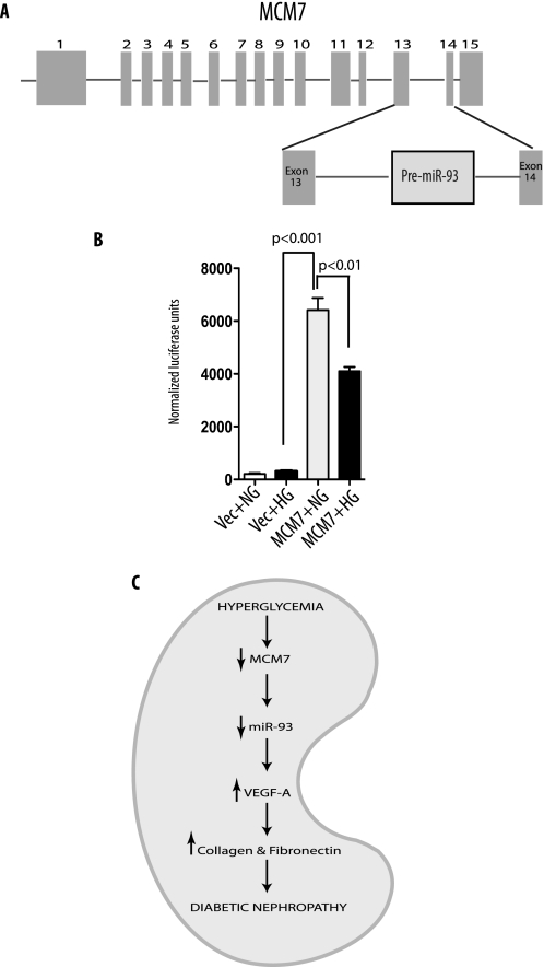 FIGURE 9.