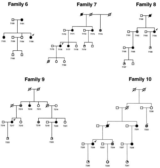 Figure  2