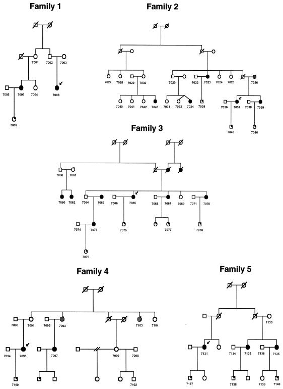 Figure  1