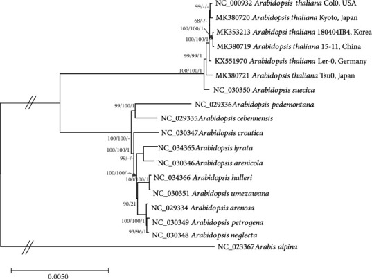 Figure 7