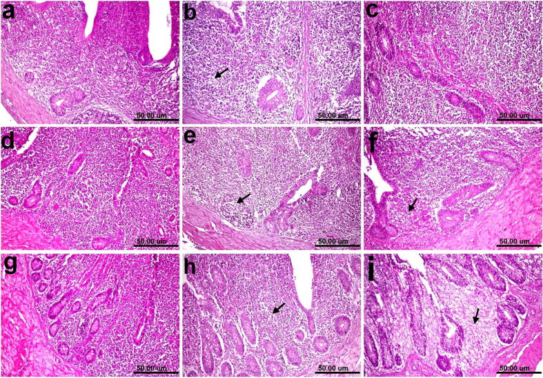 Fig. 11