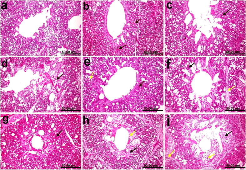 Fig. 9