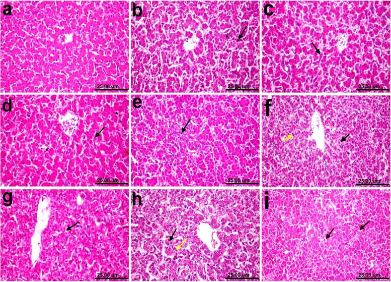 Fig. 12