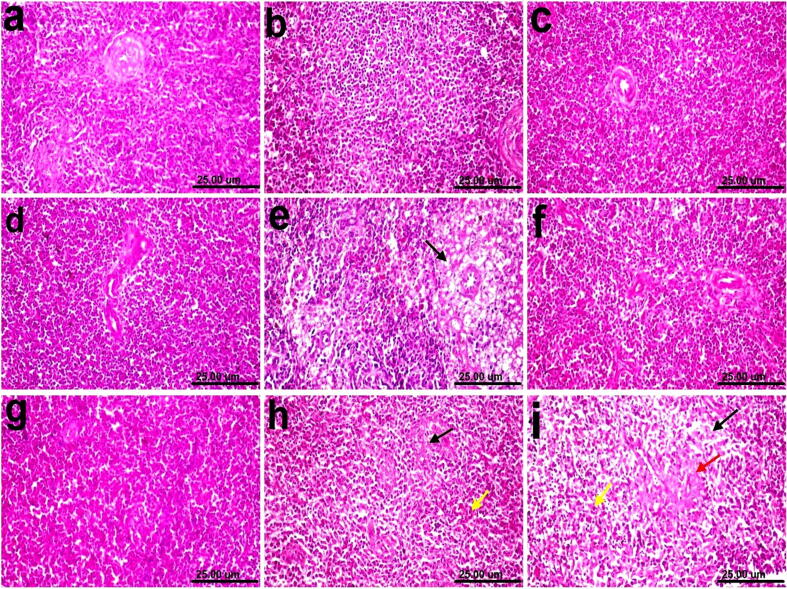 Fig. 10