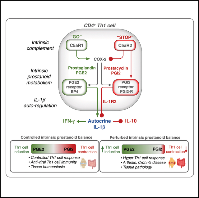 graphic file with name nihms-2086046-f0001.jpg