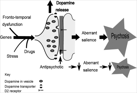 Fig. 1.