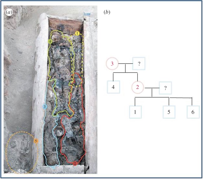 Figure 2.