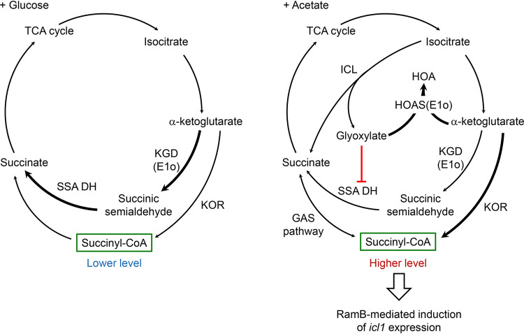 FIG 10