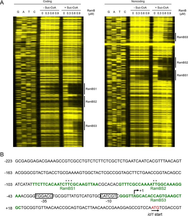 FIG 6