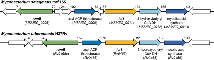 FIG 3