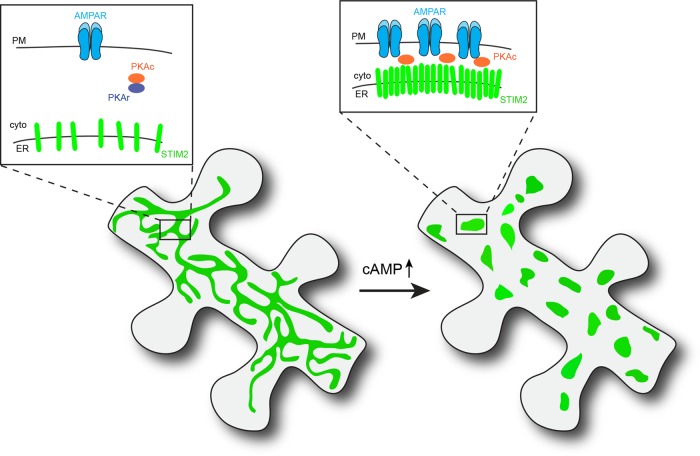 FIGURE 9: