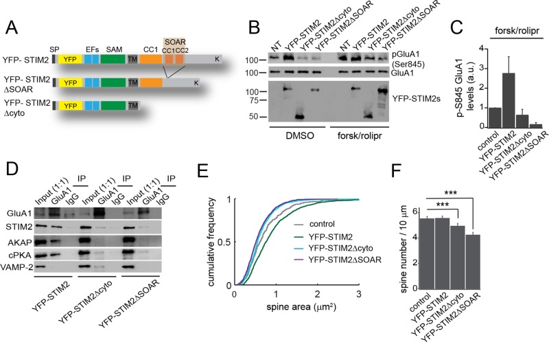 FIGURE 5: