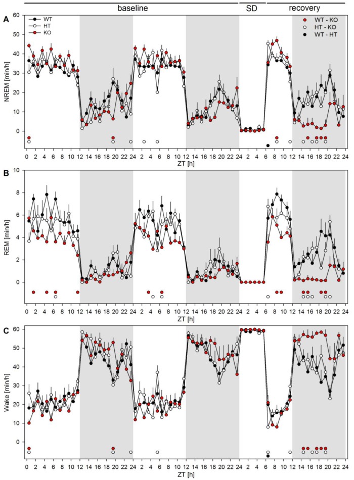 Figure 6—figure supplement 1.